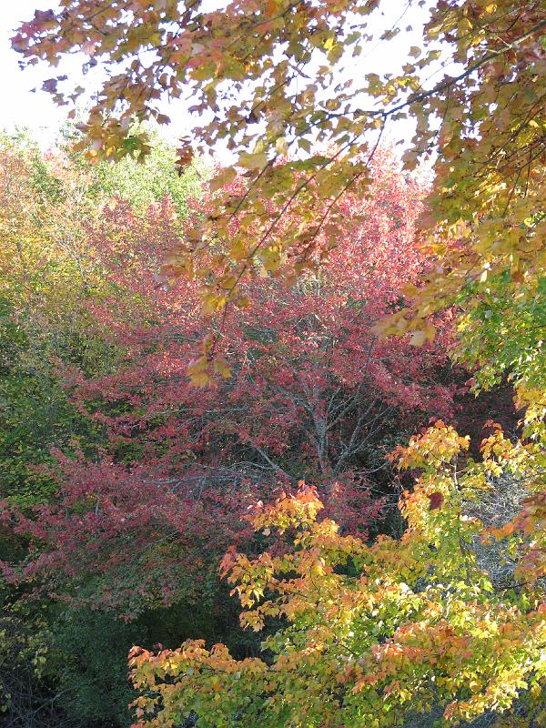 2008-10-11_Tiverton_Trustom 113.jpg